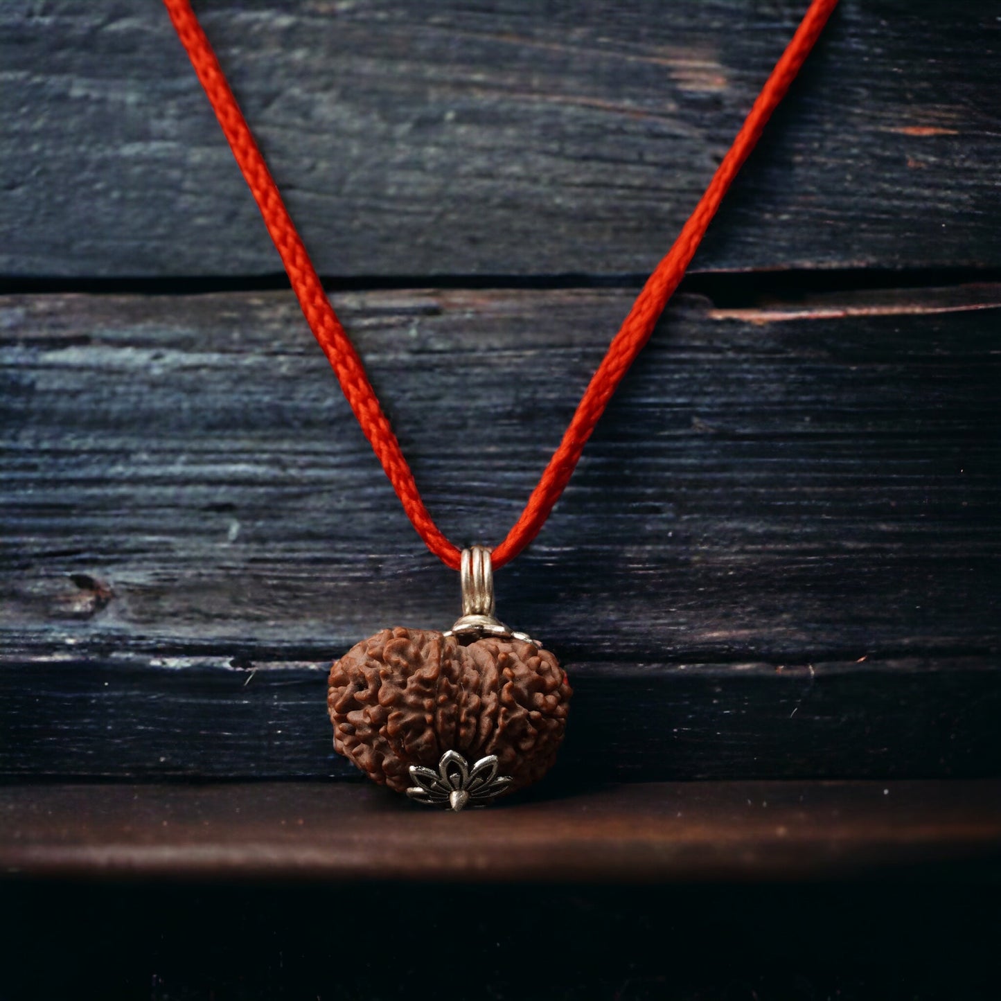 11 Mukhi Nepali Rudraksha - Gyaarah Mukhi