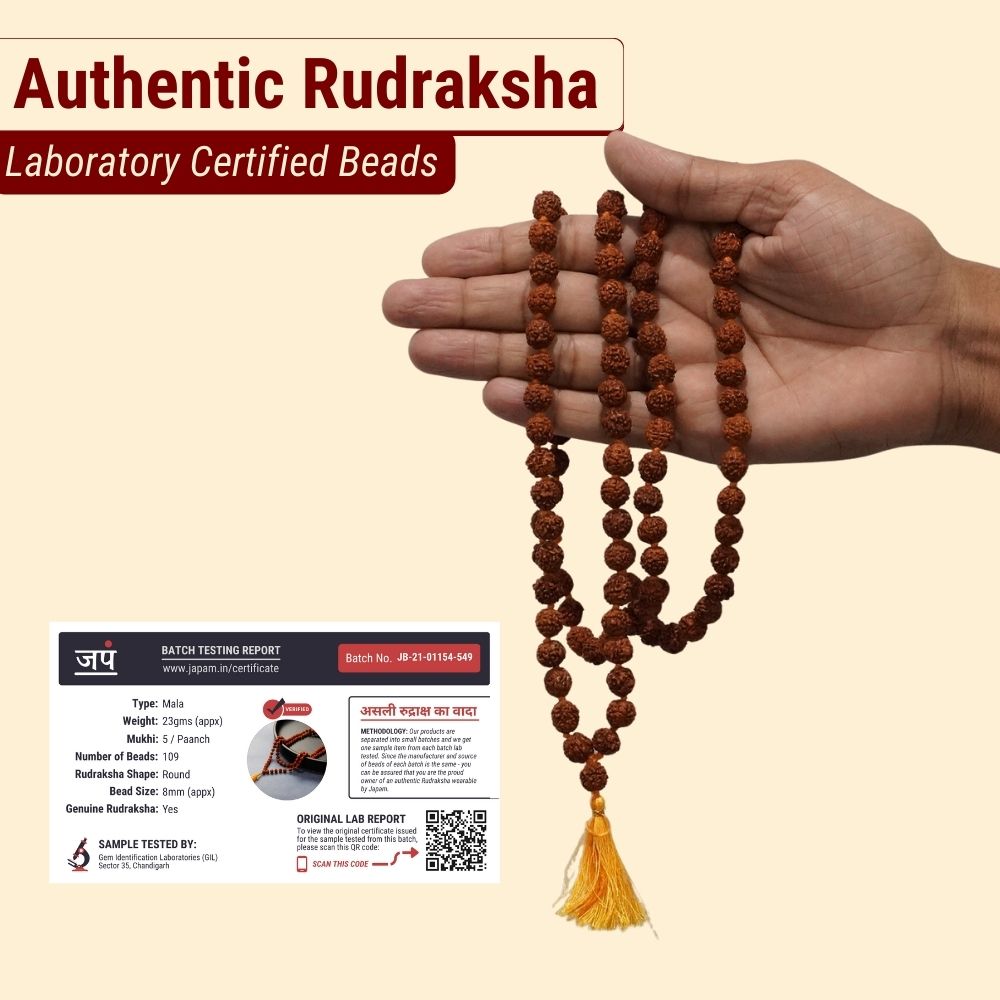 Brown Rudraksha Mala - 108+1 Beads