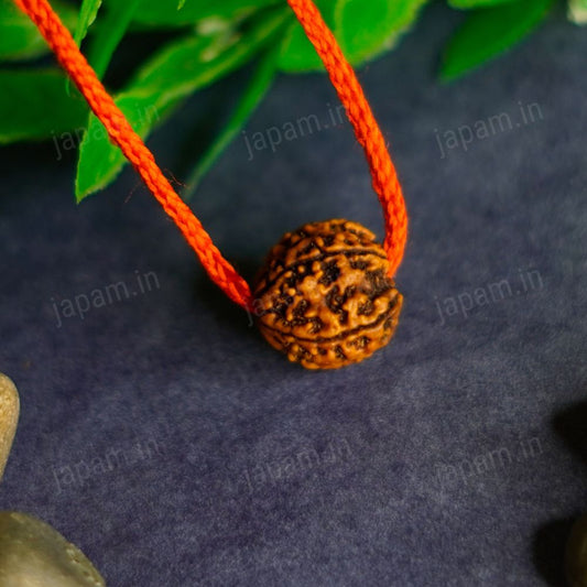Har Ghar Mein Rudraksha - Claim Your Free 5 Mukhi Rudraksha