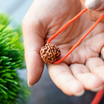 Har Ghar Mein Rudraksha - Claim Your Free 5 Mukhi Rudraksha