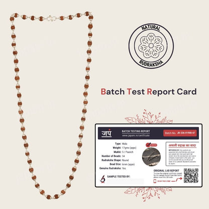 Silver Plated Elegant Rudraksha Mala