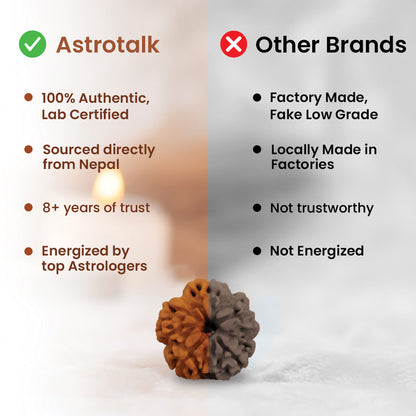 5 Mukhi Rudraksha Bracelet