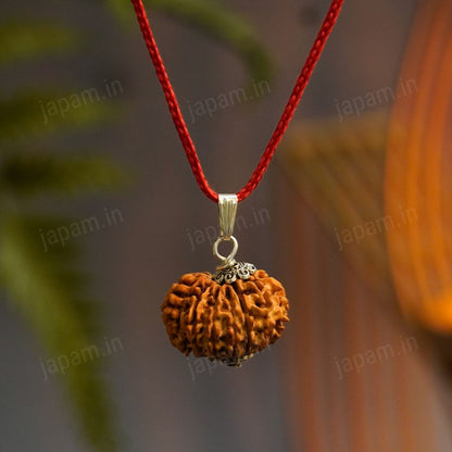 12 Mukhi Nepali Rudraksha - Baarah Mukhi