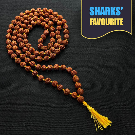 Brown Rudraksha Mala - 108+1 Beads