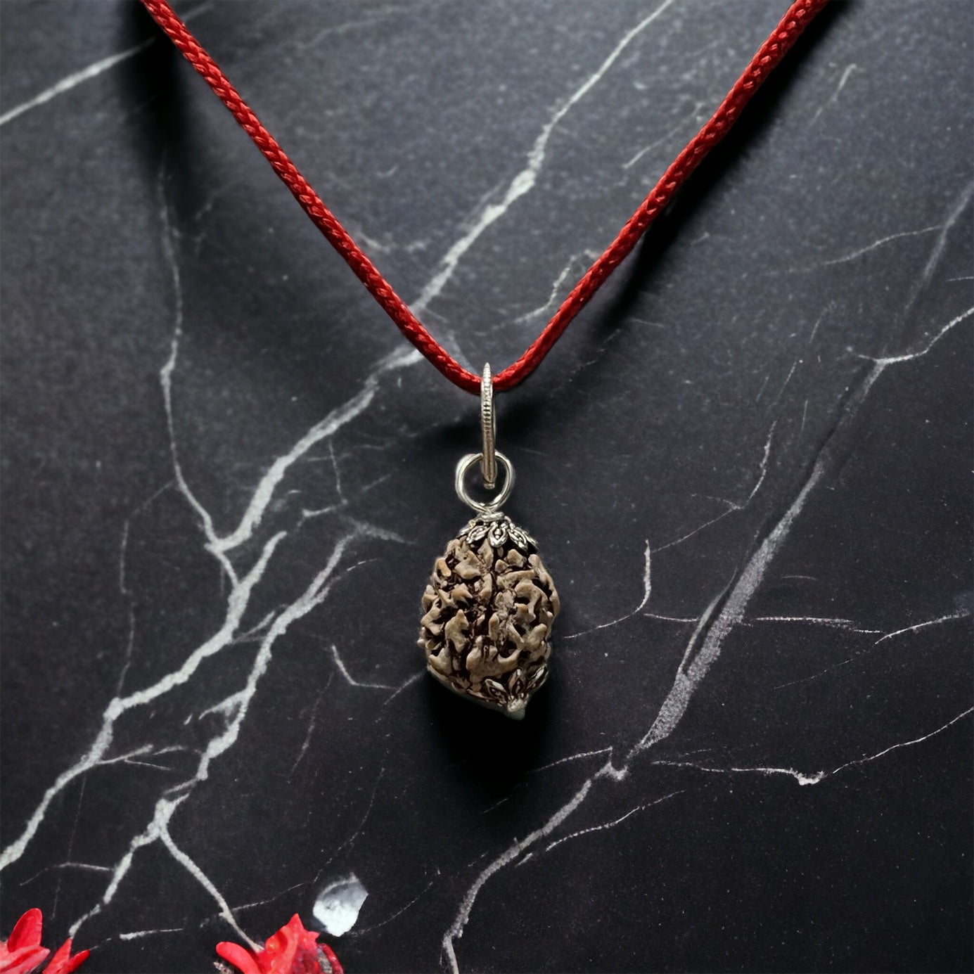 3 Mukhi Indian Rudraksha - Teen Mukhi