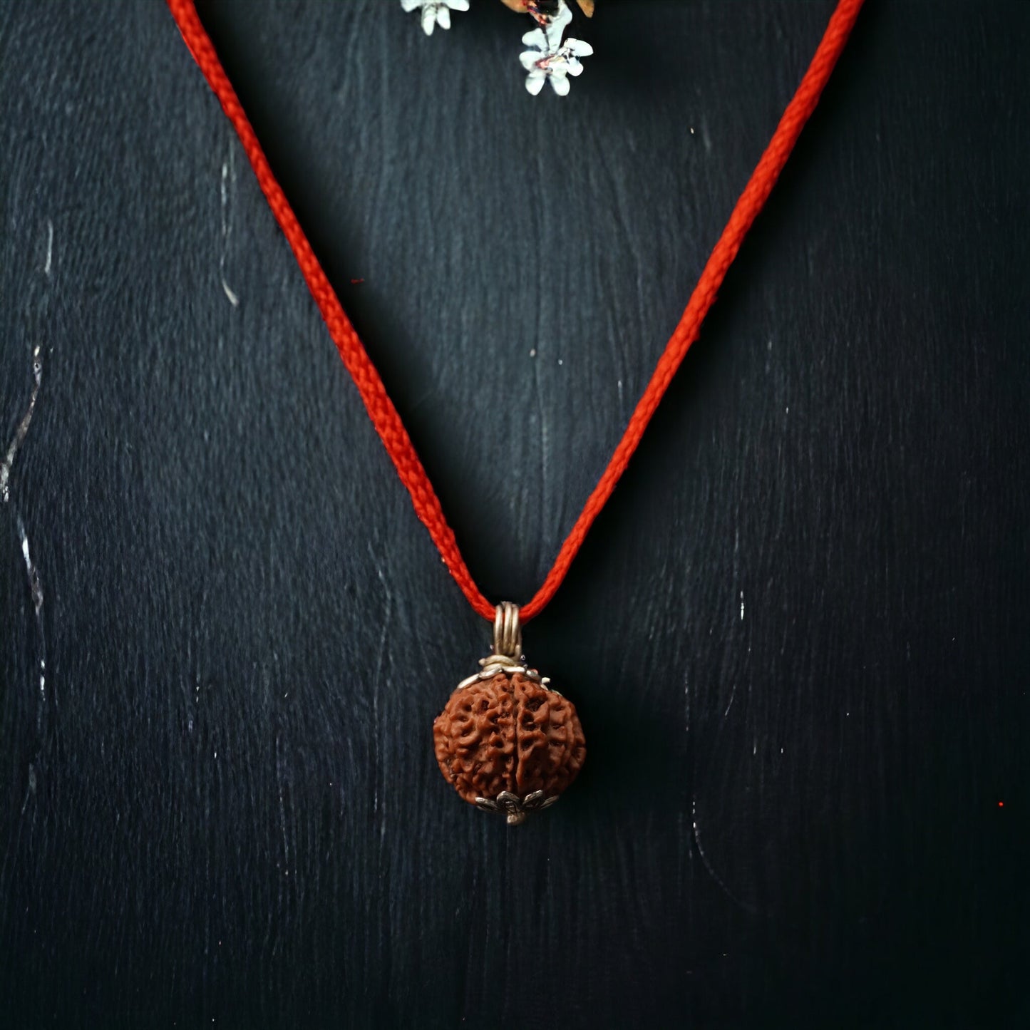 8 Mukhi Nepali Rudraksha - Aath Mukhi